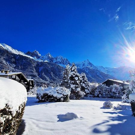 Chamonix Appartement Vue Mont Blanc Avec Jardin Exteriör bild