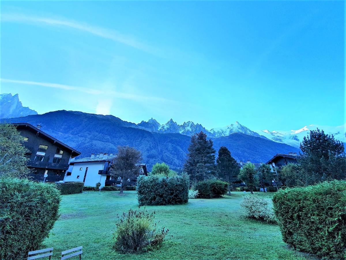 Chamonix Appartement Vue Mont Blanc Avec Jardin Exteriör bild