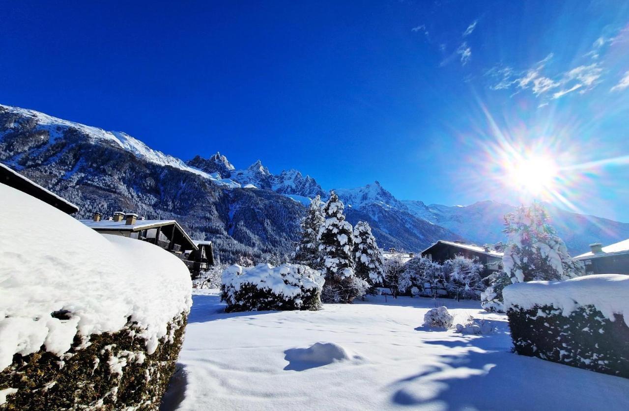 Chamonix Appartement Vue Mont Blanc Avec Jardin Exteriör bild