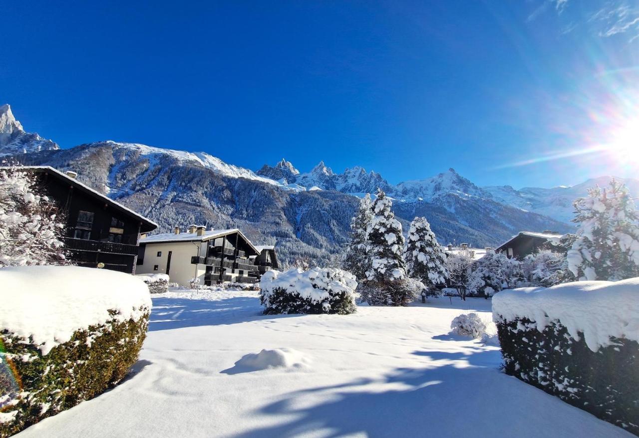 Chamonix Appartement Vue Mont Blanc Avec Jardin Exteriör bild